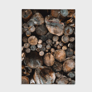 Nature No. 24