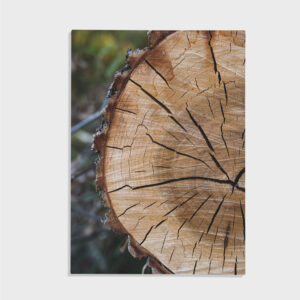 Nature No. 73