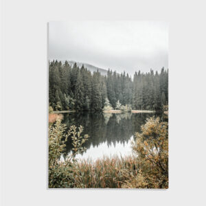 Nature No. 119