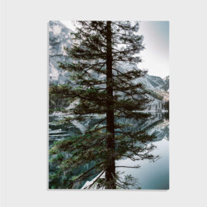 Nature No. 95