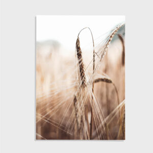 Nature No. 62
