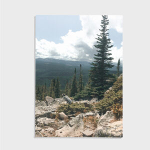 Nature No. 110