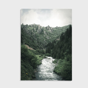 Nature No. 124