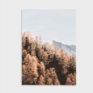 Nature No. 52