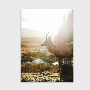 Nature No. 74