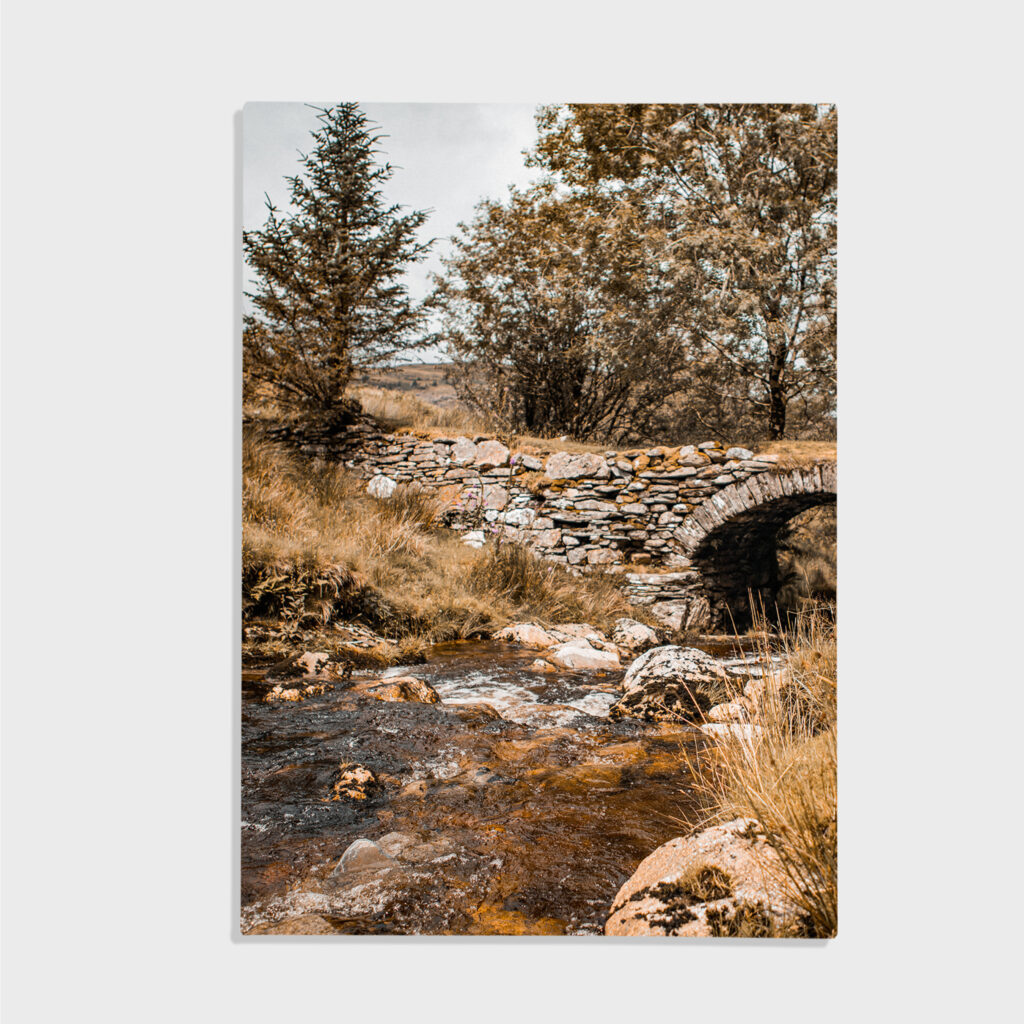 Nature No. 46