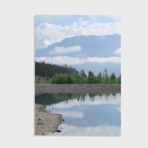 Nature No. 100