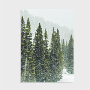 Nature No. 76