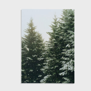Nature No. 23