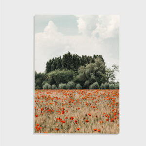 Nature No. 169