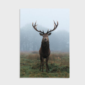 Nature No. 7