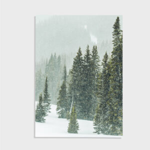 Nature No. 78