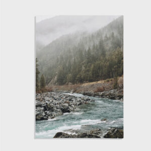 Nature No. 38