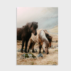 Nature No. 22