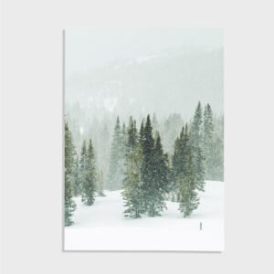 Nature No. 77