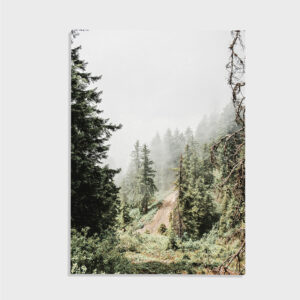 Nature No. 122