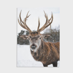 Nature No. 20