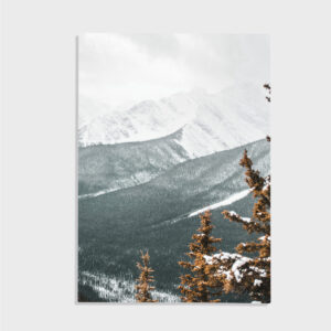 Nature No. 144