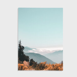 Nature No. 136