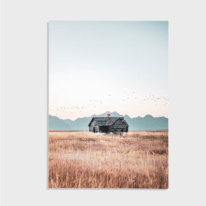 Nature No. 56