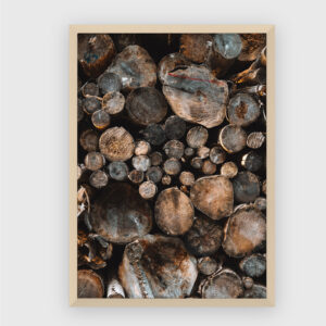 Nature No. 24