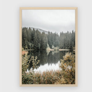 Nature No. 119