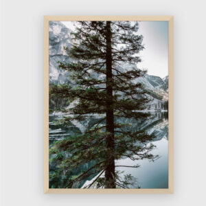 Nature No. 95