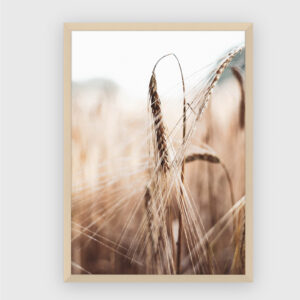 Nature No. 62