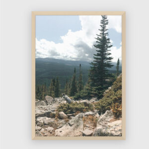 Nature No. 110