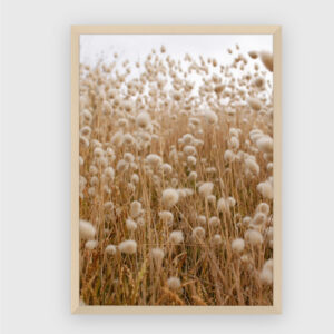 Nature No. 2
