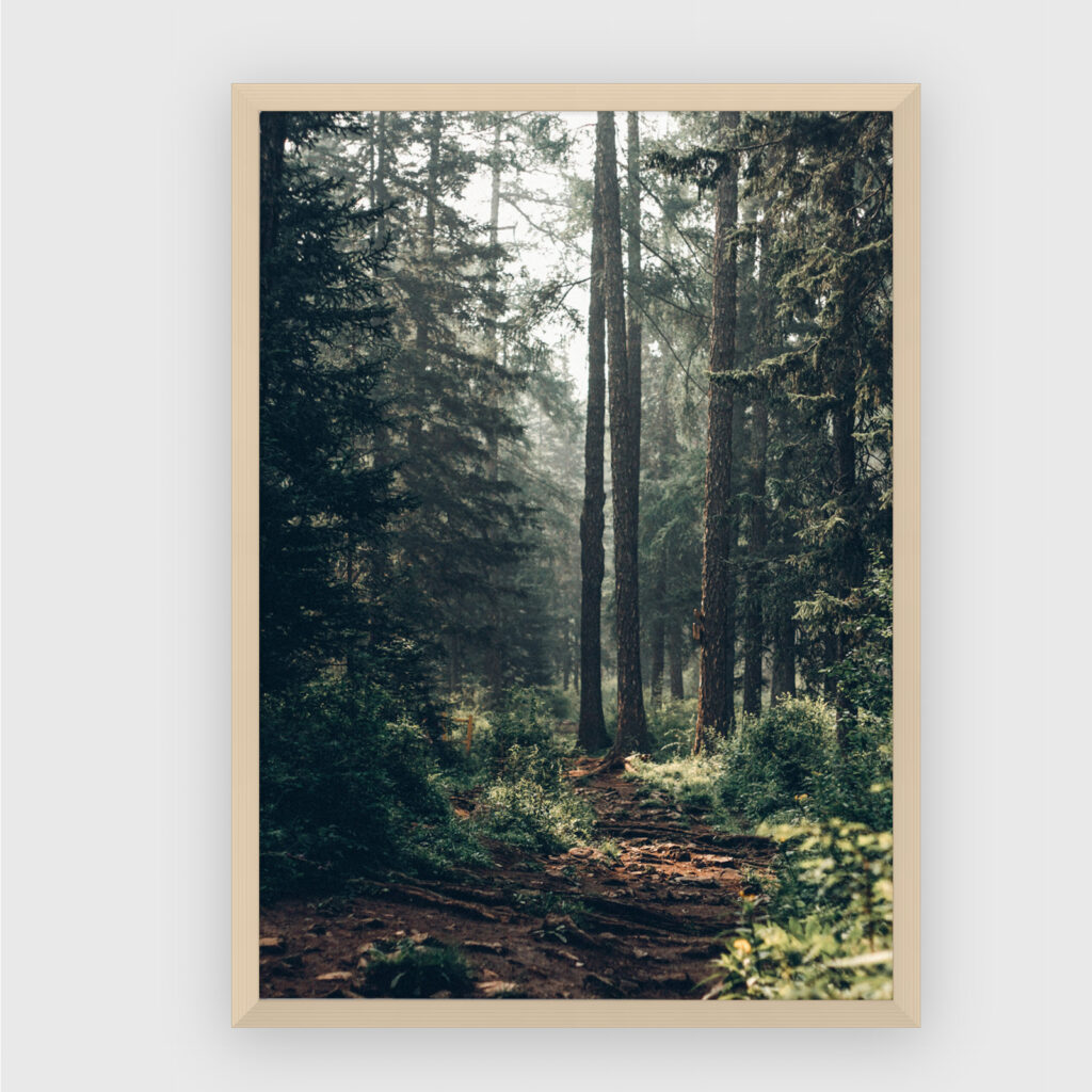 Nature No. 105
