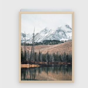 Nature No. 134