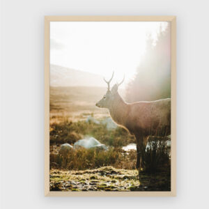 Nature No. 74