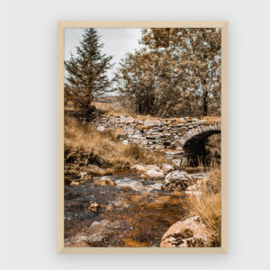 Nature No. 46