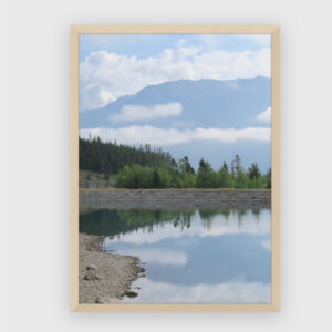 Nature No. 100