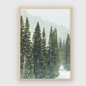 Nature No. 76