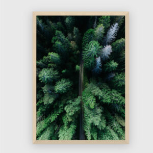 Nature No. 75