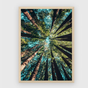 Nature No. 91