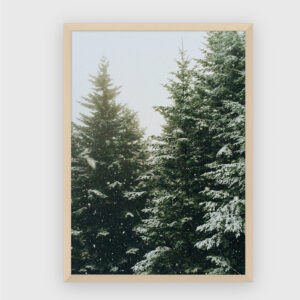 Nature No. 23