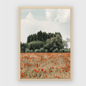 Nature No. 169