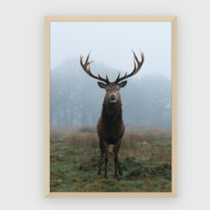 Nature No. 7