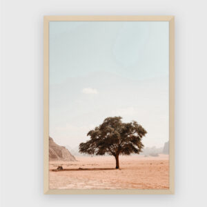 Nature No. 168