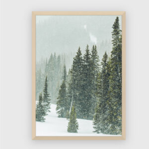 Nature No. 78