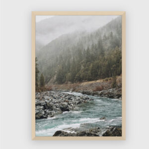 Nature No. 38