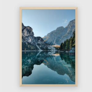 Nature No. 152