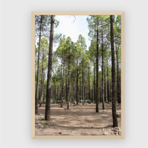 Nature No. 200
