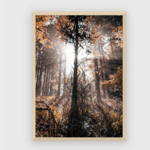 Nature No. 16