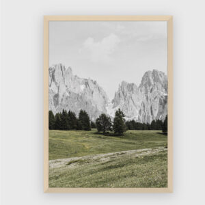Nature No. 48