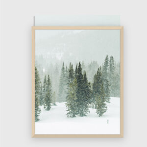 Nature No. 77
