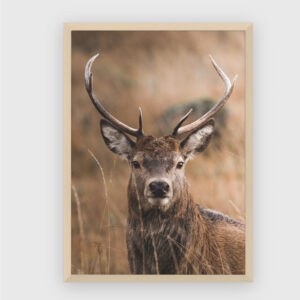 Nature No. 3
